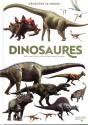 Decouvre Le Monde - Dinosaures - Preview