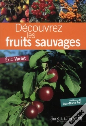 Capa do artigo Decouvrez Les Fruits Sauvages