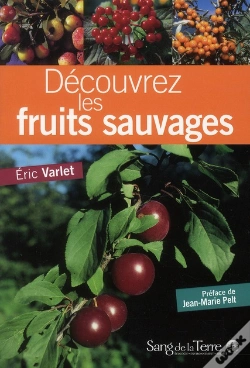Capa do artigo Decouvrez Les Fruits Sauvages