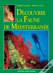 Capa do artigo Découvrir La Faune De Méditerranée