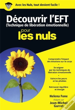 Capa do artigo Découvrir L'Eft Pour Les Nuls
