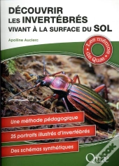 Découvrir Les Invertébrés Vivant À La Surface Du Sol