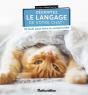 Décryptez Le Langage De Votre Chat ! 10 Tests Pour Bien Le Comprendre - Preview