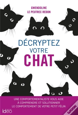 Capa do artigo Décryptez Votre Chat