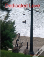 Capa do artigo Dedicated Love