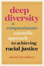 Deep Diversity - Preview
