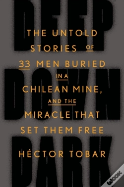 Capa do artigo Deep Down Dark