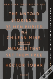 Capa do artigo Deep Down Dark