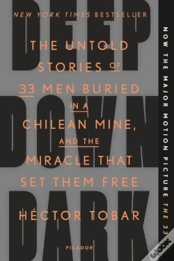 Capa do artigo Deep Down Dark