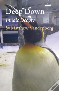 Capa do artigo Deep Down
