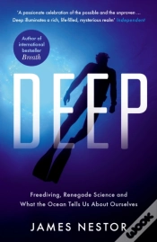Capa do artigo Deep