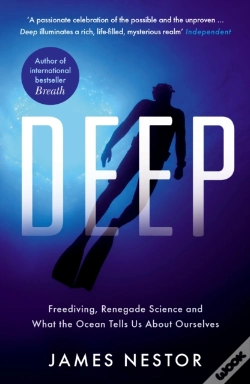 Capa do artigo Deep
