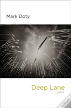 Capa do artigo Deep Lane 8211 Poems