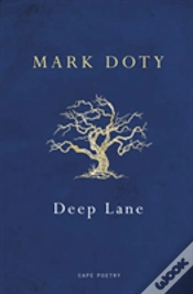 Capa do artigo Deep Lane