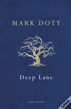 Capa do artigo Deep Lane