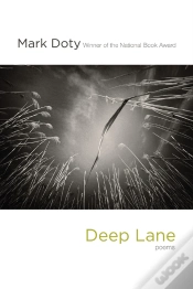 Capa do artigo Deep Lane