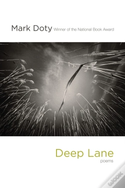 Capa do artigo Deep Lane