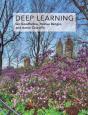 Deep Learning - Preview