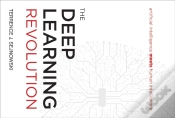 Capa do artigo Deep Learning Revolution