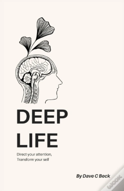 Capa do artigo Deep Life: Direct Your Attention, Transf