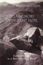 Deep Memory, Exuberant Hope - Preview
