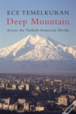 Capa do artigo Deep Mountain