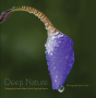 Deep Nature - Preview