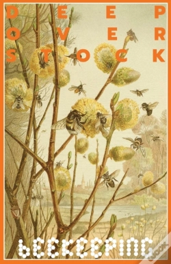 Capa do artigo Deep Overstock Issue 17