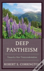 Capa do artigo Deep Pantheism