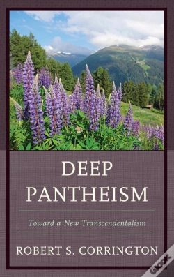 Capa do artigo Deep Pantheism