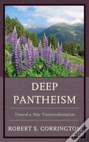 Capa do artigo Deep Pantheism