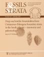 Deep-Sea Benthic Foraminifera From Cretaceous-Paleogene Boundary Strata In The South Atlantic - Preview