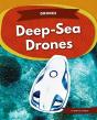 Deep-Sea Drones - Preview