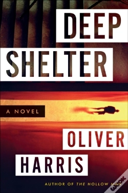 Capa do artigo Deep Shelter