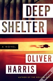 Capa do artigo Deep Shelter