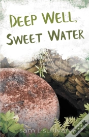 Capa do artigo Deep Well, Sweet Water