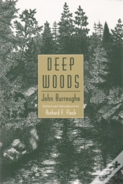 Capa do artigo Deep Woods