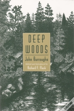 Capa do artigo Deep Woods
