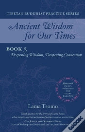 Capa do artigo Deepening Wisdom, Deepening Connection