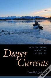 Capa do artigo Deeper Currents