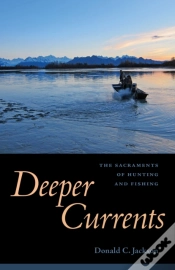 Capa do artigo Deeper Currents