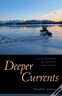 Capa do artigo Deeper Currents