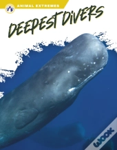 Deepest Divers