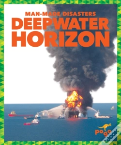 Capa do artigo Deepwater Horizon