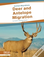 Deer And Antelope Migration