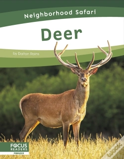 Capa do artigo Deer