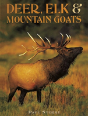 Deer Elk Mountain Goats - Preview