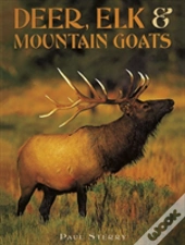 Deer Elk Mountain Goats