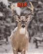 Deer - Preview