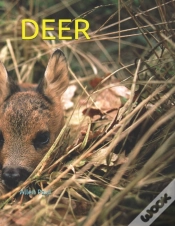 Capa do artigo Deer